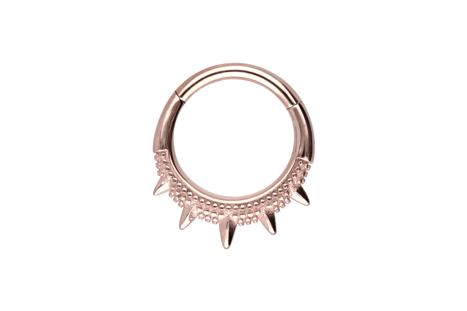 Chirurgenstahl Segmentring Clicker Piercing SPITZEN